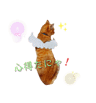 ☆ユメの弟分のテトでござる☆（個別スタンプ：13）
