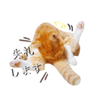 ☆ユメの弟分のテトでござる☆（個別スタンプ：20）