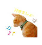☆ユメの弟分のテトでござる☆（個別スタンプ：21）