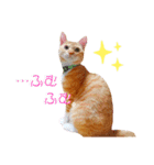 ☆ユメの弟分のテトでござる☆（個別スタンプ：23）