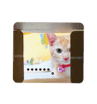 ☆ユメの弟分のテトでござる☆（個別スタンプ：30）