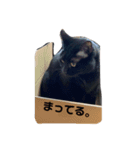 だらしない黒猫（個別スタンプ：10）