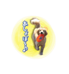 ロビンモーターzoo（個別スタンプ：8）