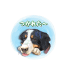ロビンモーターzoo（個別スタンプ：11）
