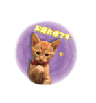 ロビンモーターzoo（個別スタンプ：17）