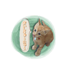ロビンモーターzoo（個別スタンプ：19）