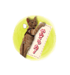 ロビンモーターzoo（個別スタンプ：20）