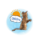 ロビンモーターzoo（個別スタンプ：21）
