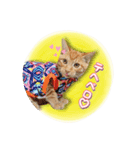 ロビンモーターzoo（個別スタンプ：24）