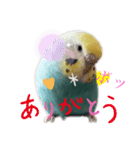 のんNo.1（個別スタンプ：1）