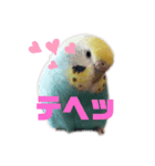 のんNo.1（個別スタンプ：2）