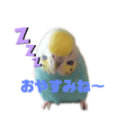 のんNo.1（個別スタンプ：3）