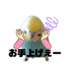 のんNo.1（個別スタンプ：7）