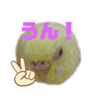 のんNo.1（個別スタンプ：8）