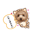 トイプードルのミロ3（個別スタンプ：16）