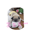 花 音 のスタンプ（個別スタンプ：2）