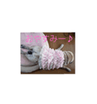 花 音 のスタンプ（個別スタンプ：5）