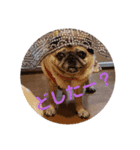 花 音 のスタンプ（個別スタンプ：6）