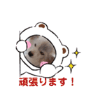 パピヨンのかわいいちょこ＆ここあ♪（個別スタンプ：19）