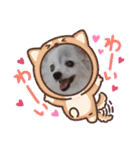 パピヨンのかわいいちょこ＆ここあ♪（個別スタンプ：20）
