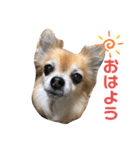 りくりくマン（個別スタンプ：1）