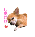 りくりくマン（個別スタンプ：16）
