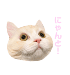 mugi stamp ②（個別スタンプ：1）