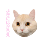 mugi stamp ②（個別スタンプ：3）