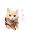 mugi stamp ②（個別スタンプ：5）