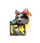 はっちとぶっち（個別スタンプ：4）
