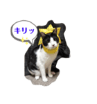 はっちとぶっち（個別スタンプ：7）
