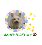 パピポの楽しい暮らし！（個別スタンプ：1）