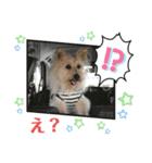 パピポの楽しい暮らし！（個別スタンプ：2）