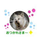 パピポの楽しい暮らし！（個別スタンプ：3）