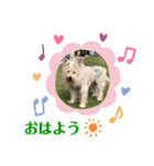 パピポの楽しい暮らし！（個別スタンプ：4）