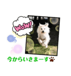 パピポの楽しい暮らし！（個別スタンプ：7）