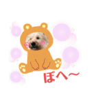 パピポの楽しい暮らし！（個別スタンプ：11）