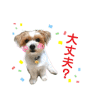 パピポの楽しい暮らし！（個別スタンプ：12）