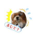 パピポの楽しい暮らし！（個別スタンプ：14）
