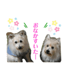パピポの楽しい暮らし！（個別スタンプ：16）