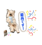 パピポの楽しい暮らし！（個別スタンプ：18）