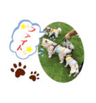 パピポの楽しい暮らし！（個別スタンプ：24）
