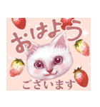 【トラ猫＆白猫】ペットたち（個別スタンプ：8）