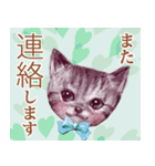 【トラ猫＆白猫】ペットたち（個別スタンプ：11）