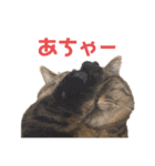 ネイ丸のスタンプ2（個別スタンプ：24）