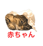 ネイ丸のスタンプ2（個別スタンプ：35）