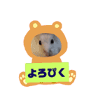 ハムスターのご挨拶（個別スタンプ：1）