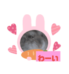 ハムスターのご挨拶（個別スタンプ：3）