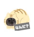ハムスターのご挨拶（個別スタンプ：4）