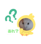 ハムスターのご挨拶（個別スタンプ：5）